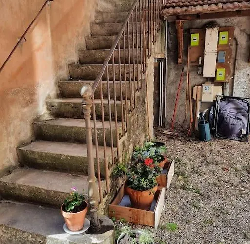 Superbe Sur Cour Arboree Dijon